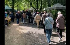 Widok na teren targowy. Ludzie zwiedzający stoiska targowe ustawione pod drzewami.