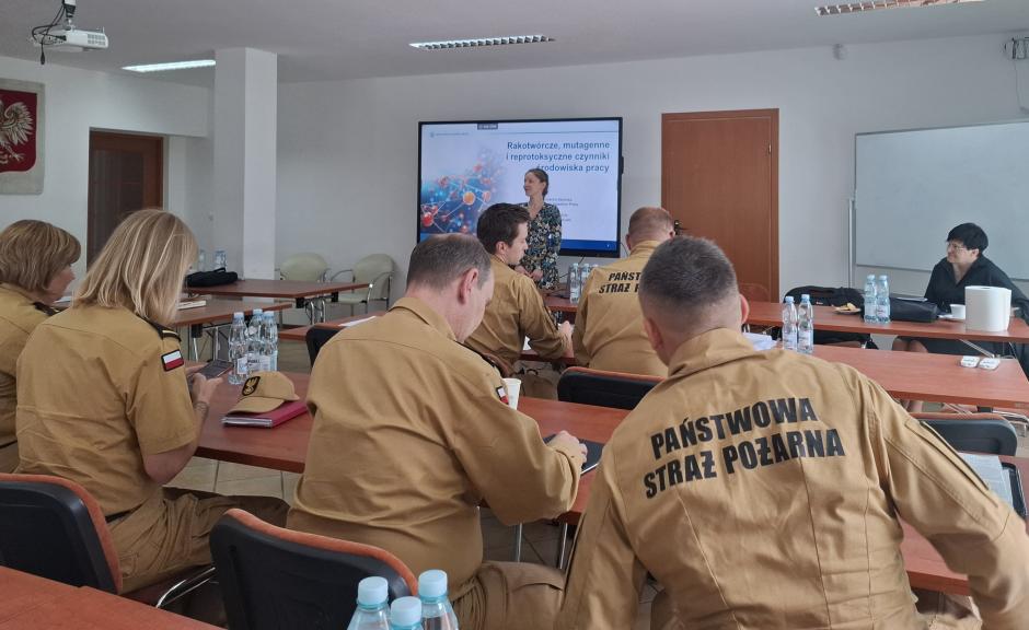 Widok sali szkoleniowej. Uczestnicy szkolenia siedzą przy stołach ustawionych w dwóch rzędach. Przed nimi siedzi omawiająca zagadnienie inspektor pracy. Za inspektor na ekranie jest wyświetlony slajd z prezentacji multimedialnej